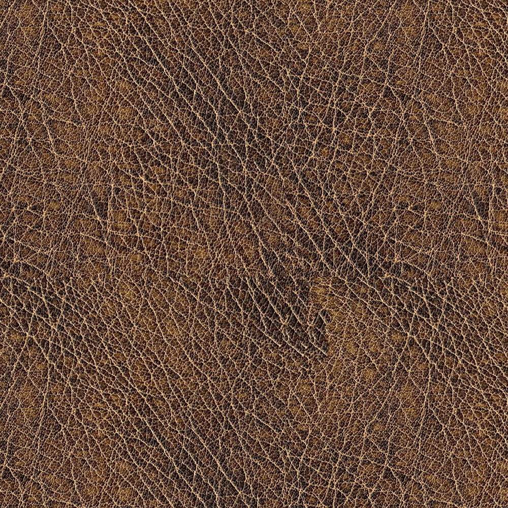 Abilene - Image 9