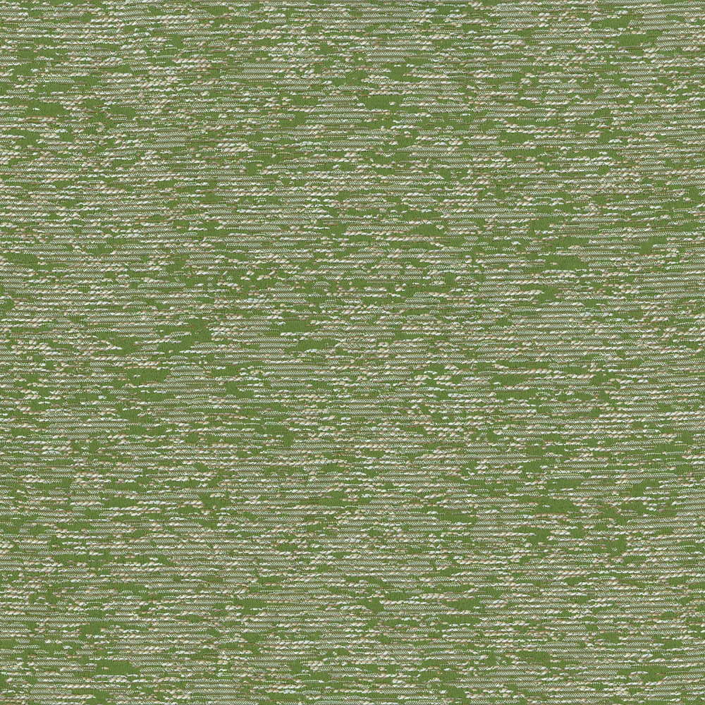 Acacia - Image 5