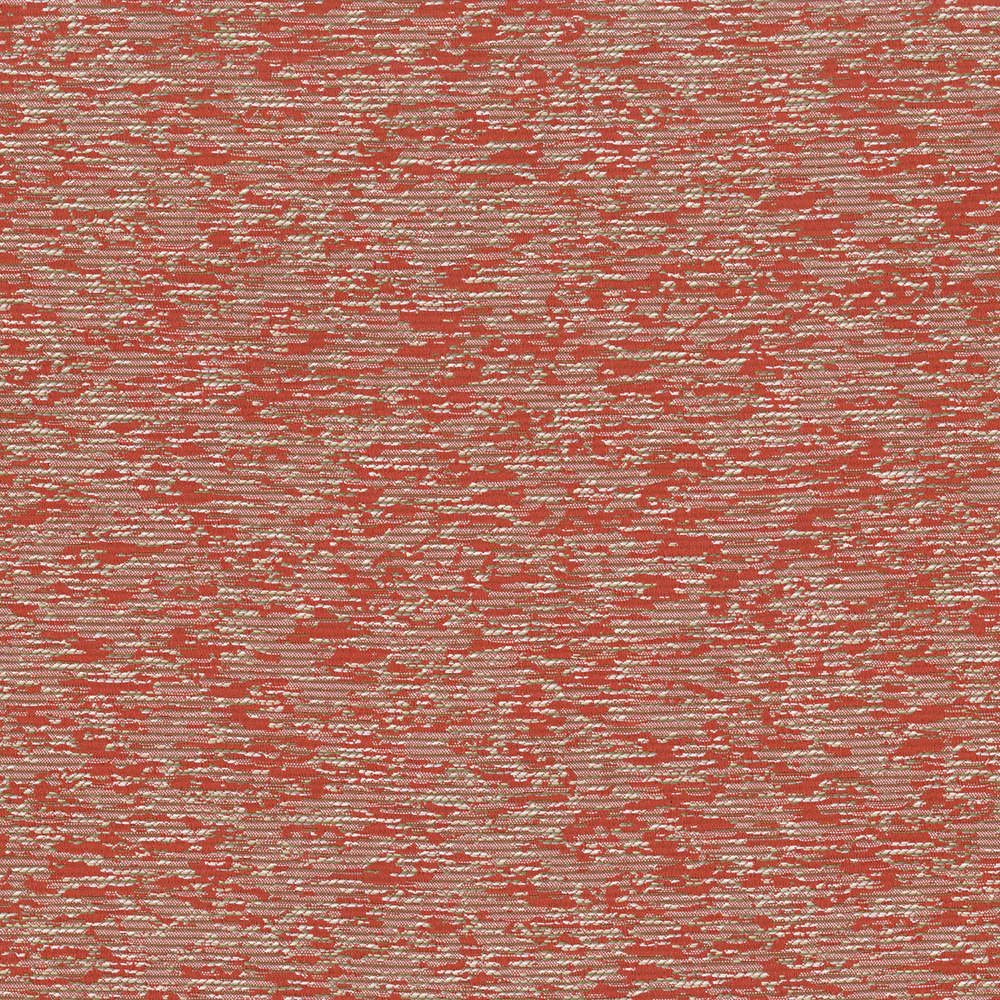 Acacia - Image 7