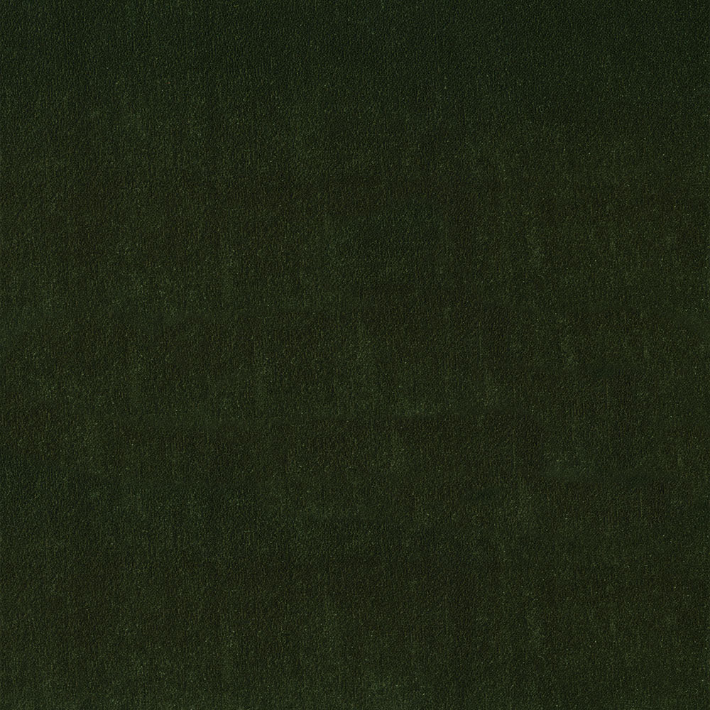 Alister - Image 3