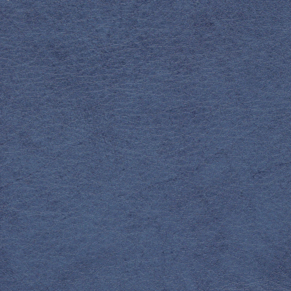 Allegro - Image 13
