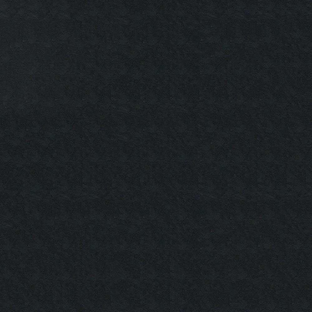Alpha - Image 14