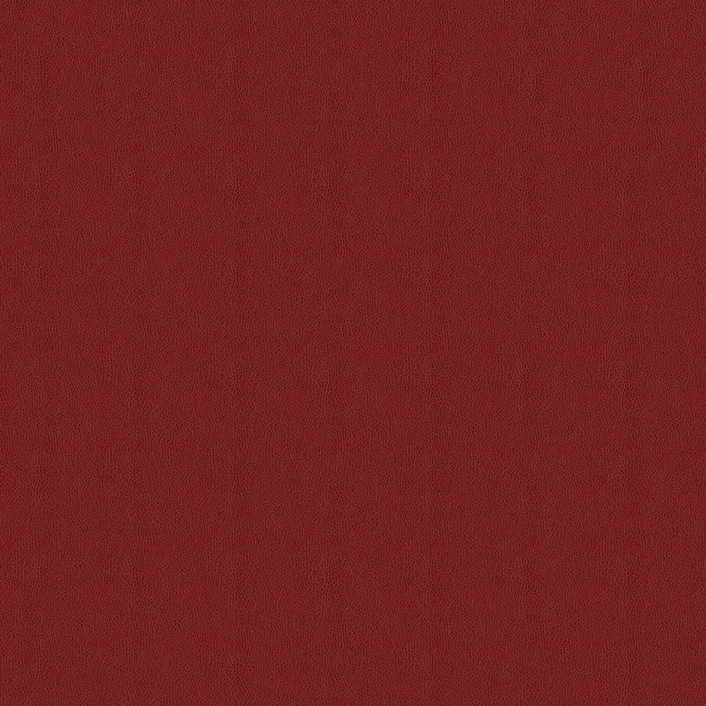 Amarillo - Image 7