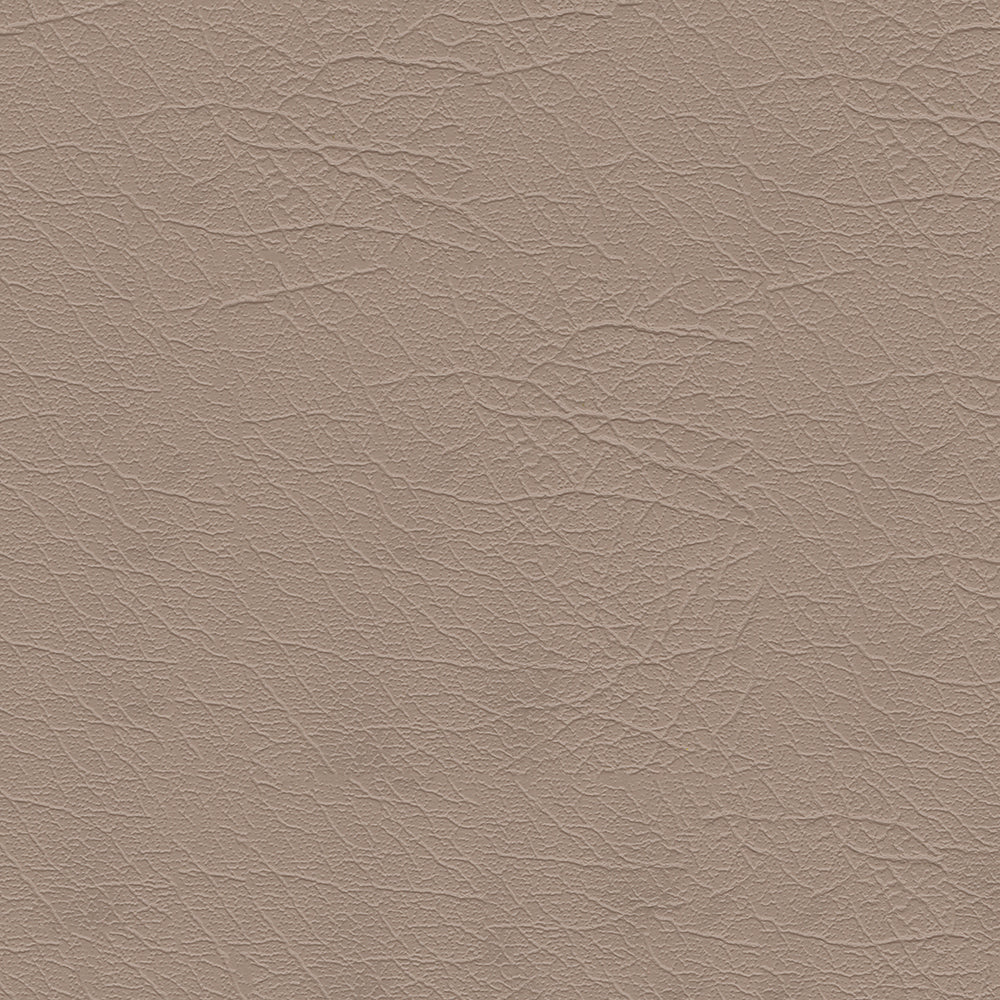 Aries - Image 5
