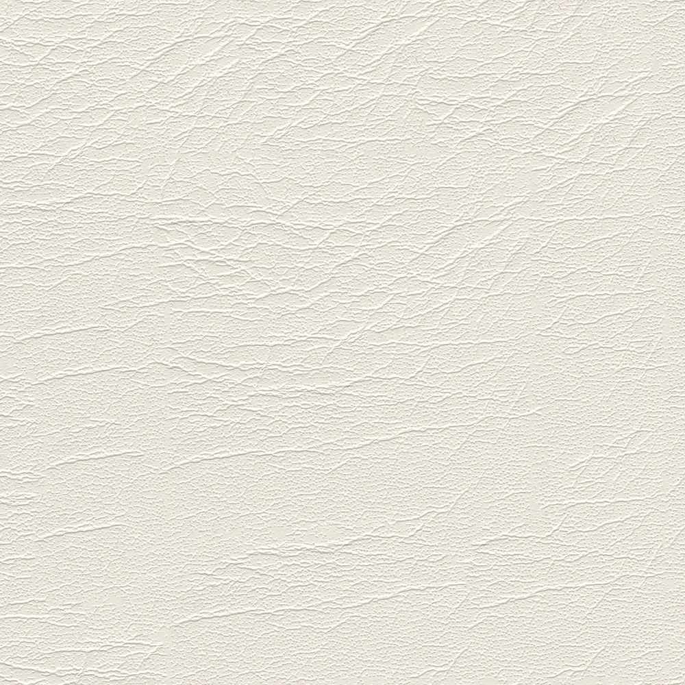 Aries - Image 7
