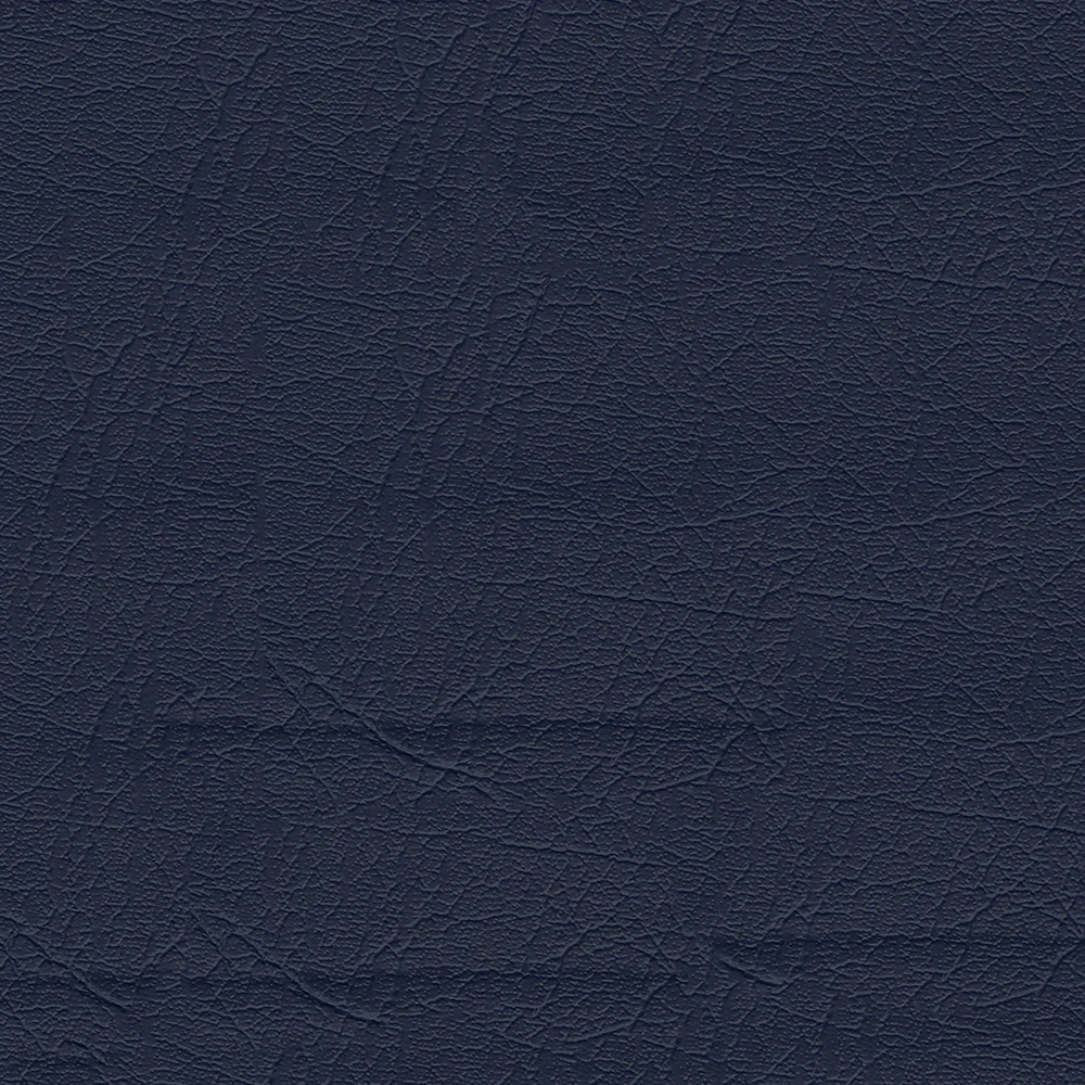 Aries - Image 9
