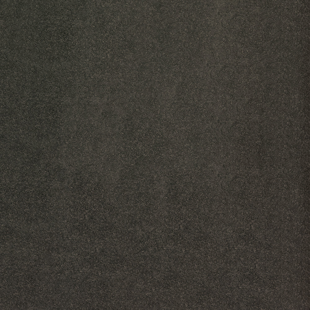 Arlo - Image 11