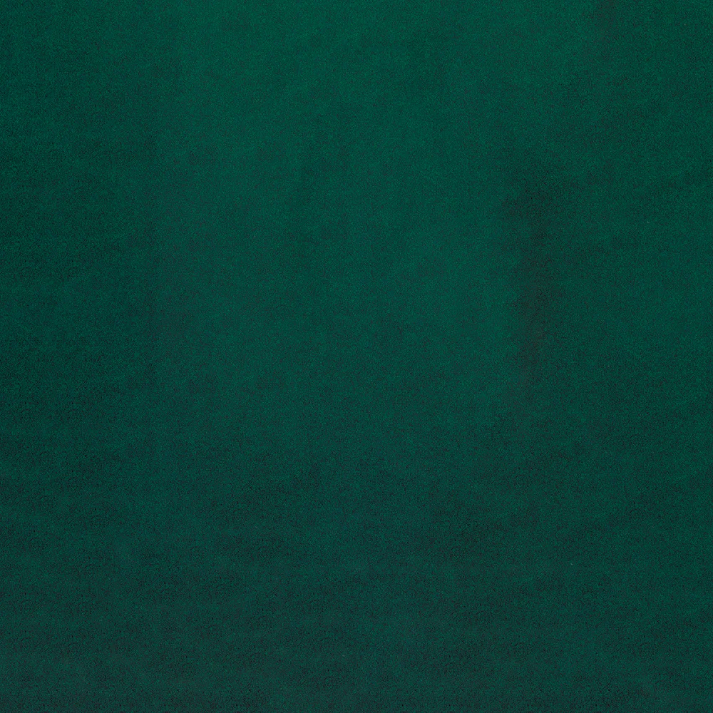Arlo - Image 13