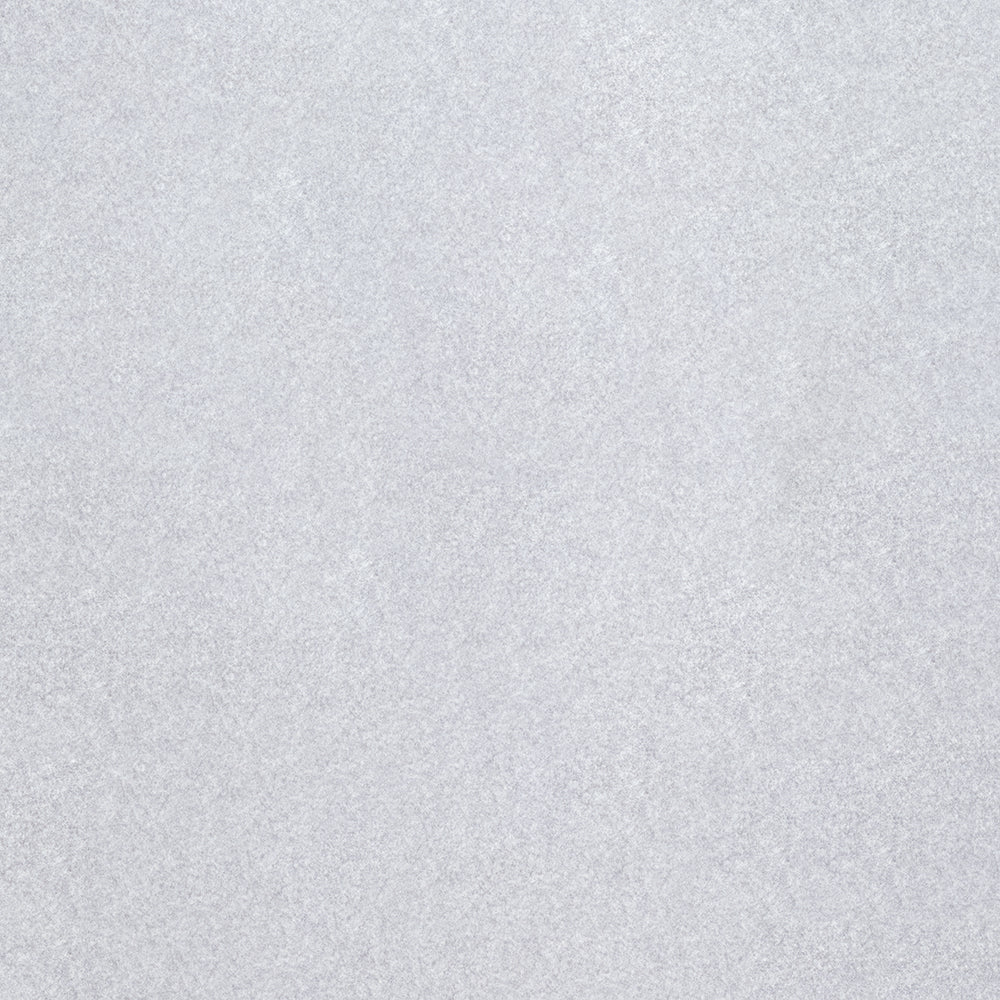 Arlo - Image 25