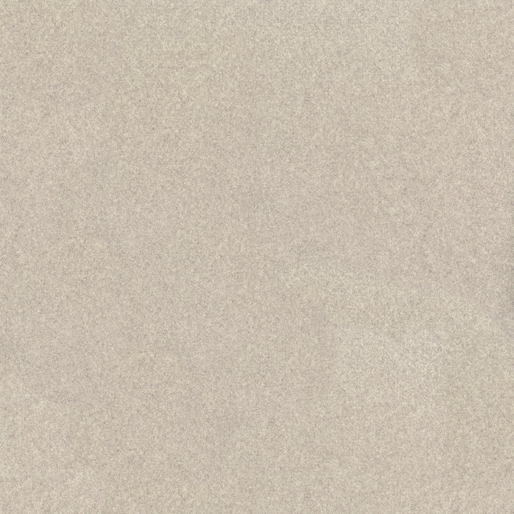 Arlo - Image 5
