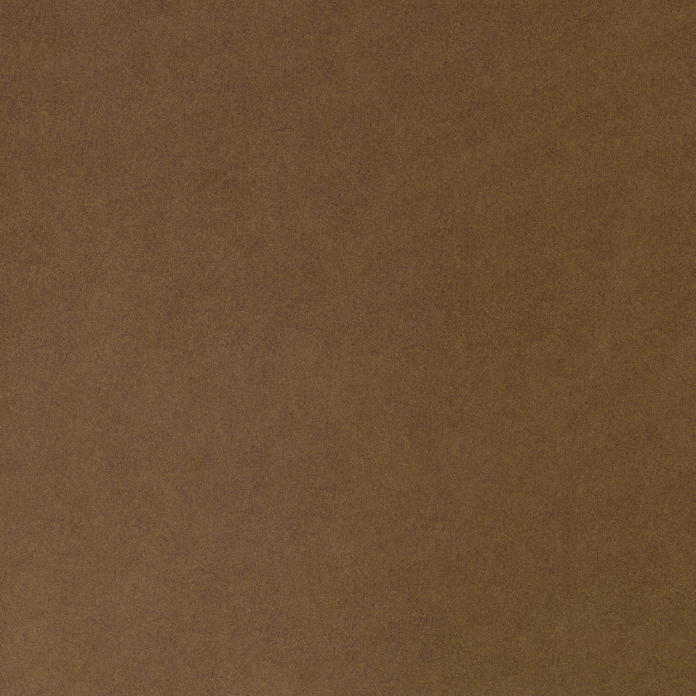 Arlo - Image 7