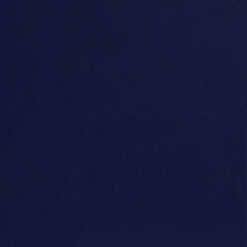 Ascent - Image 34