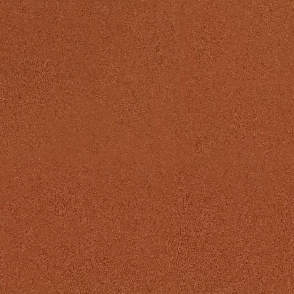 Ascent - Image 37