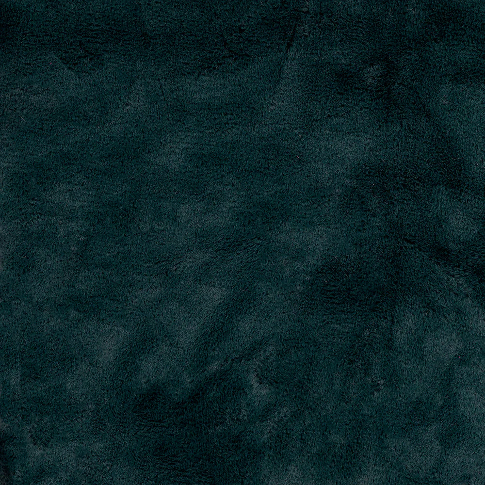 Baer - Image 5