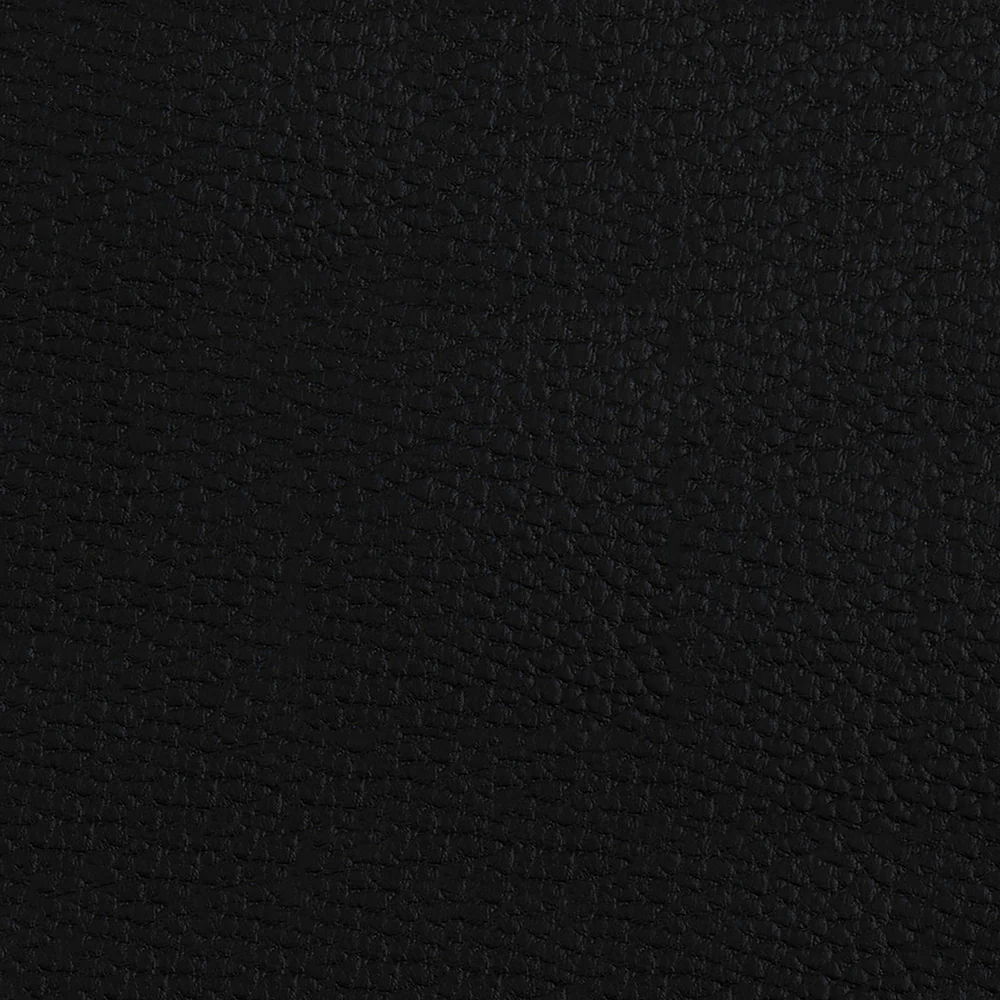 Beluga - Image 21
