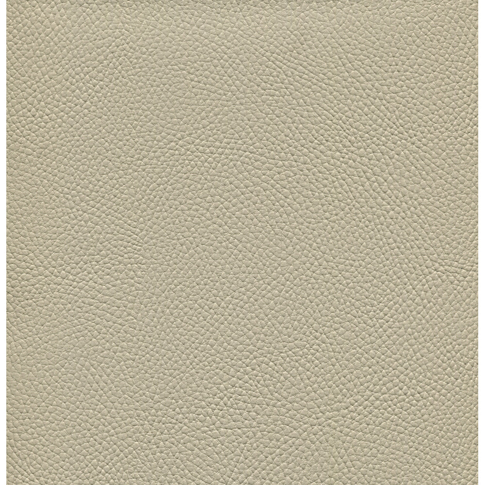 Beluga - Image 28