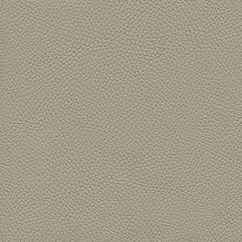 Beluga - Image 29