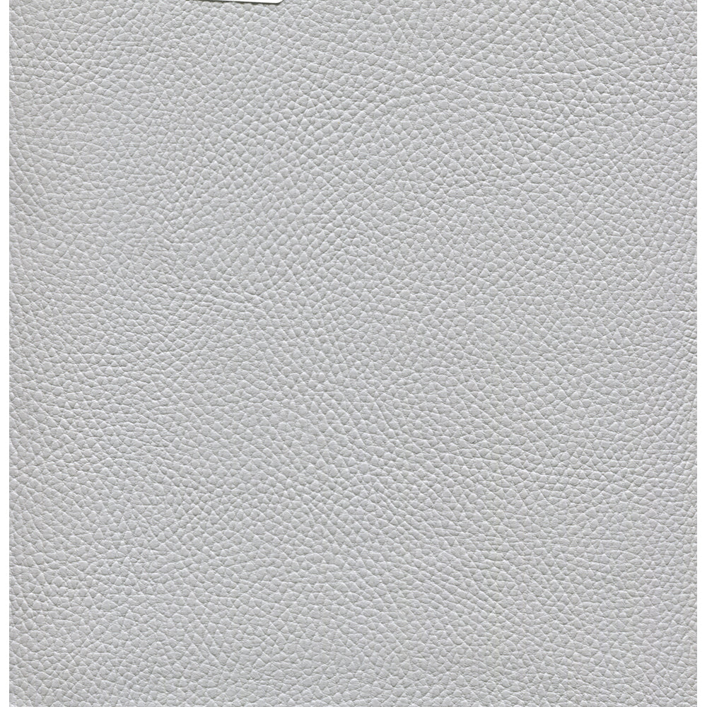 Beluga - Image 30