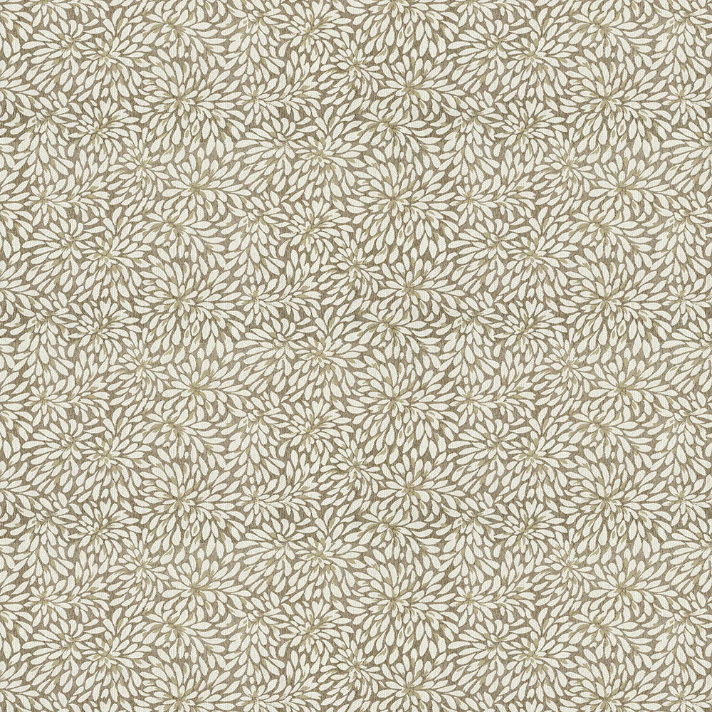 Bloom - Image 3