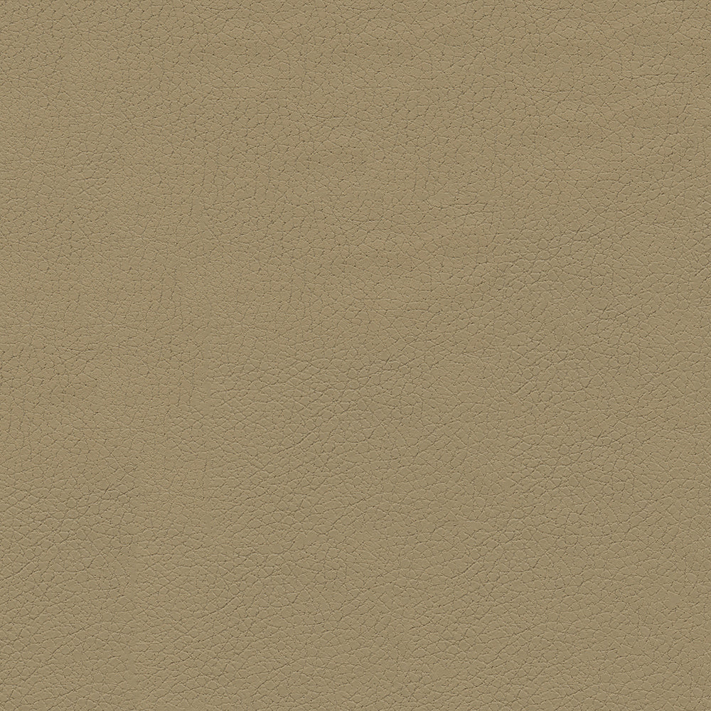 Brisa - Image 21
