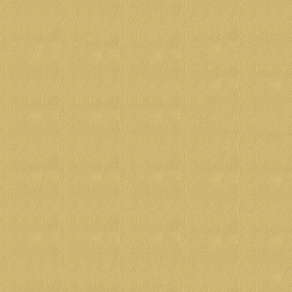 Brisa - Image 5