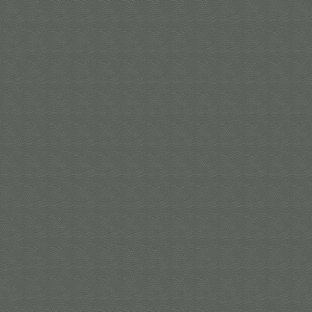 Brisa Distressed - Image 11