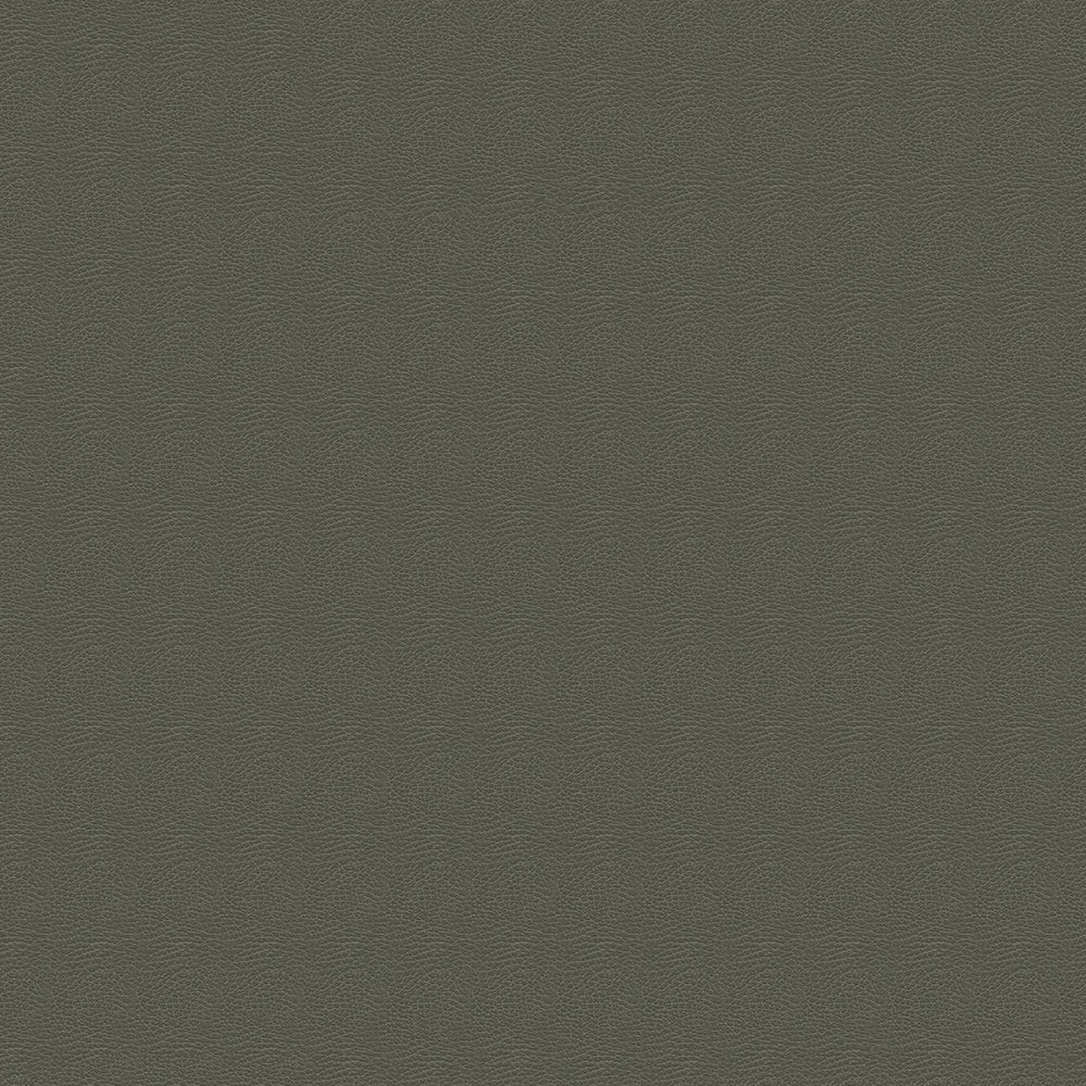 Brisa Distressed - Image 13