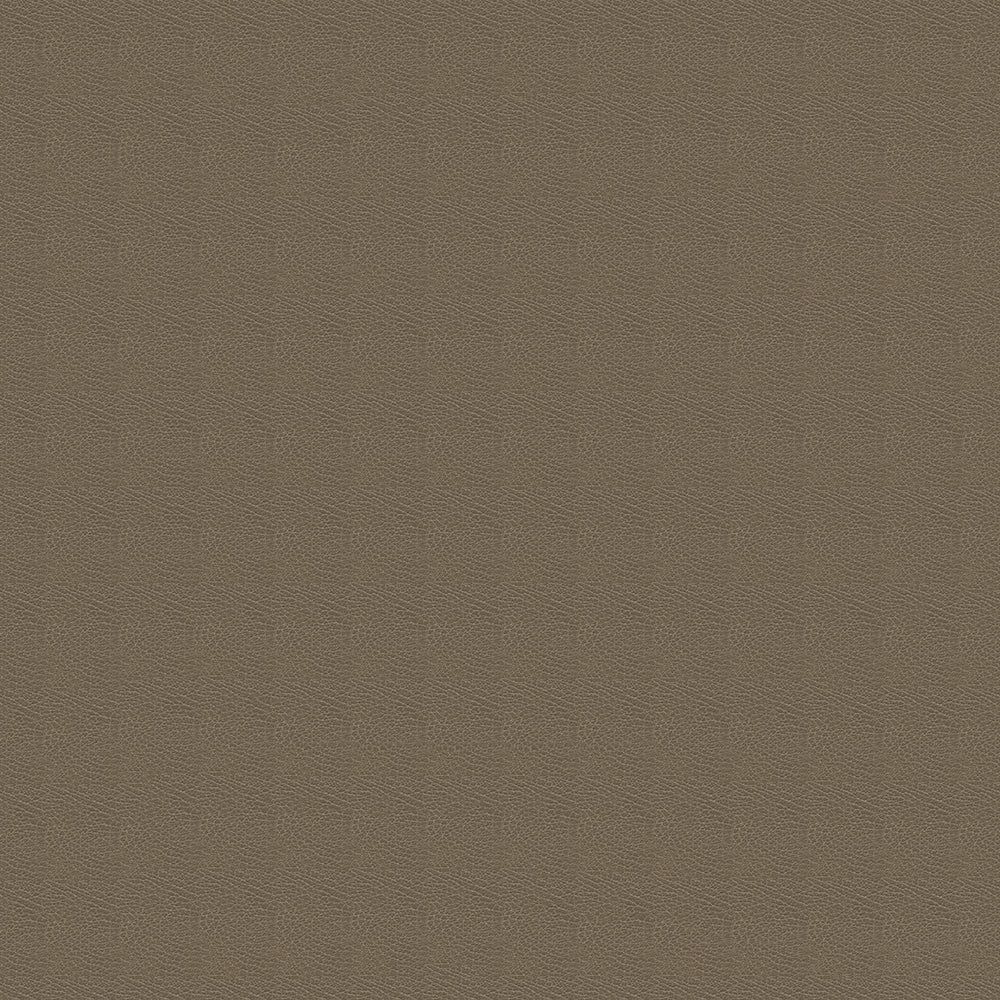 Brisa Distressed - Image 35