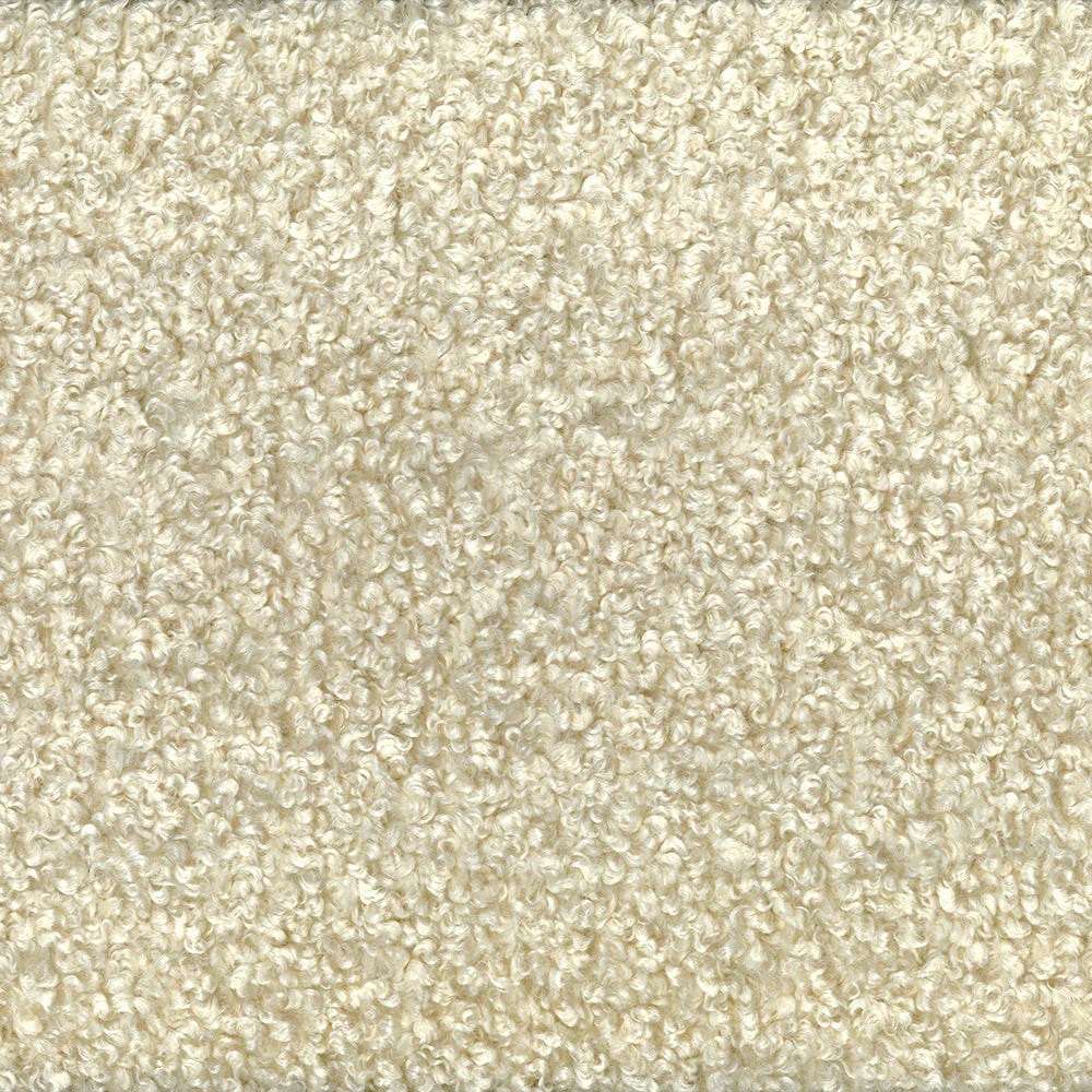 Brody - Image 3
