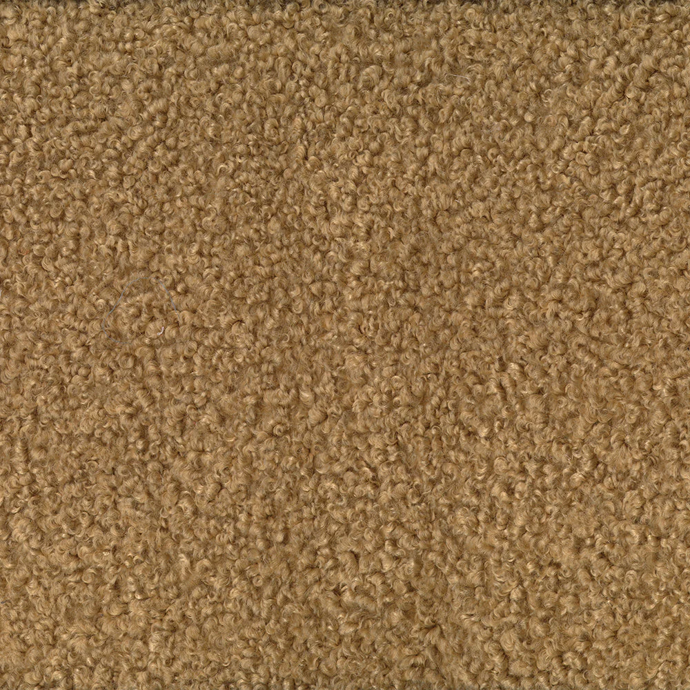 Brody - Image 5