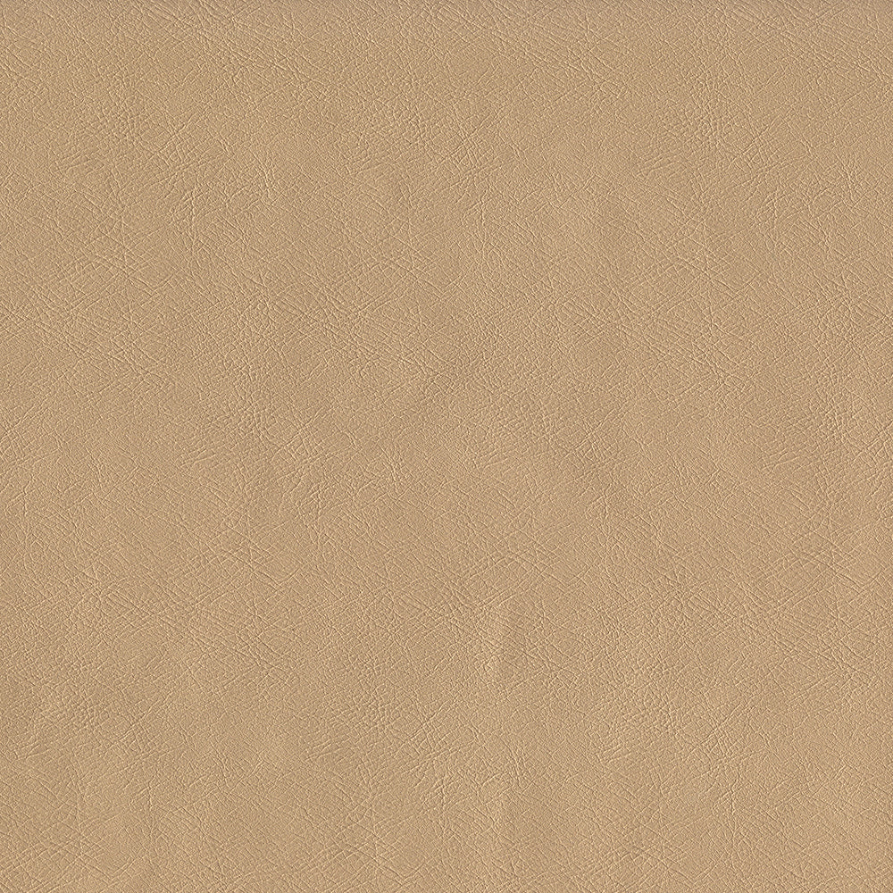 Challenger - Image 118