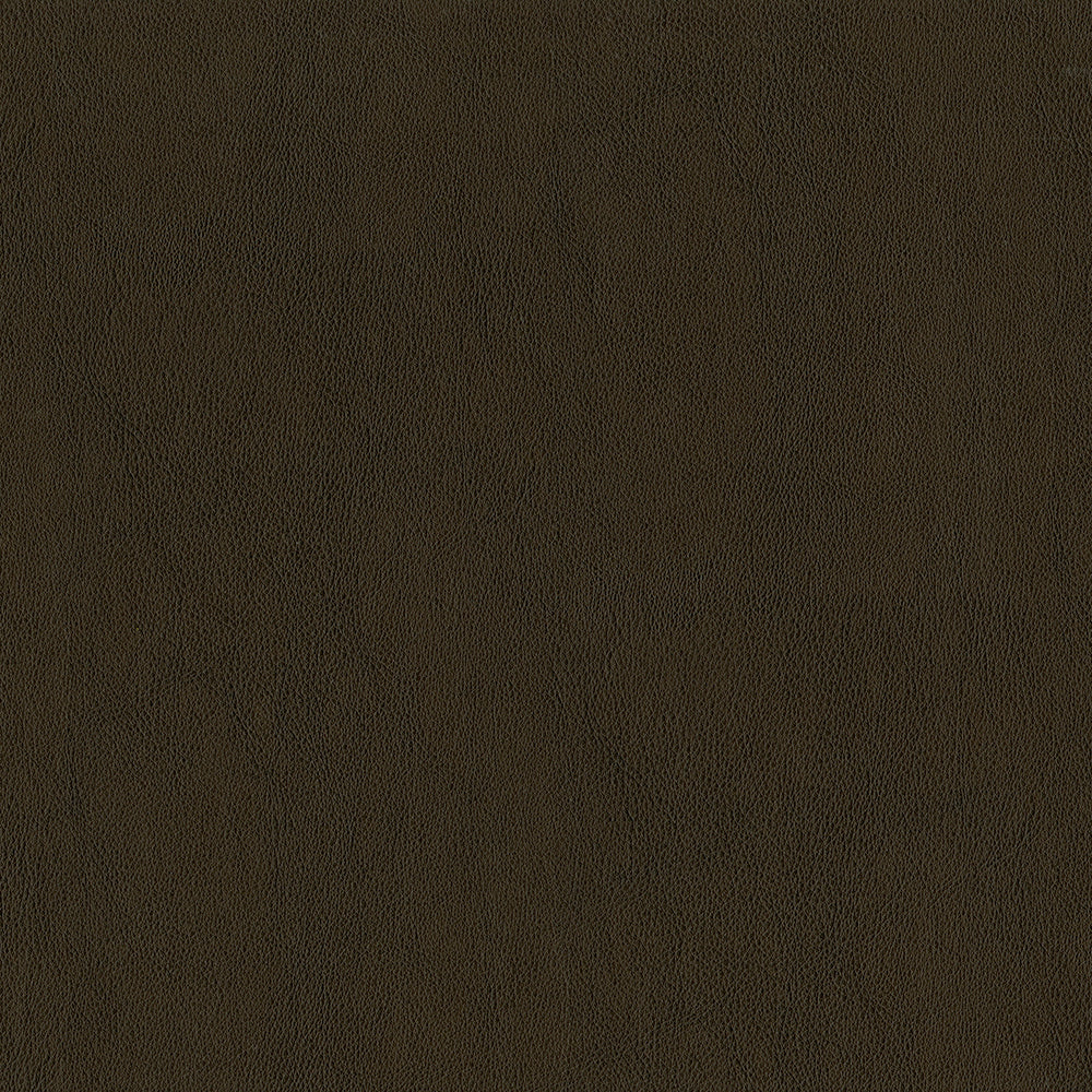 Challenger - Image 25