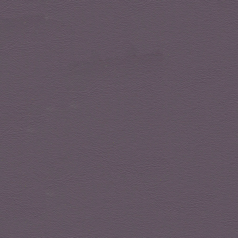 Chamea II - Image 19