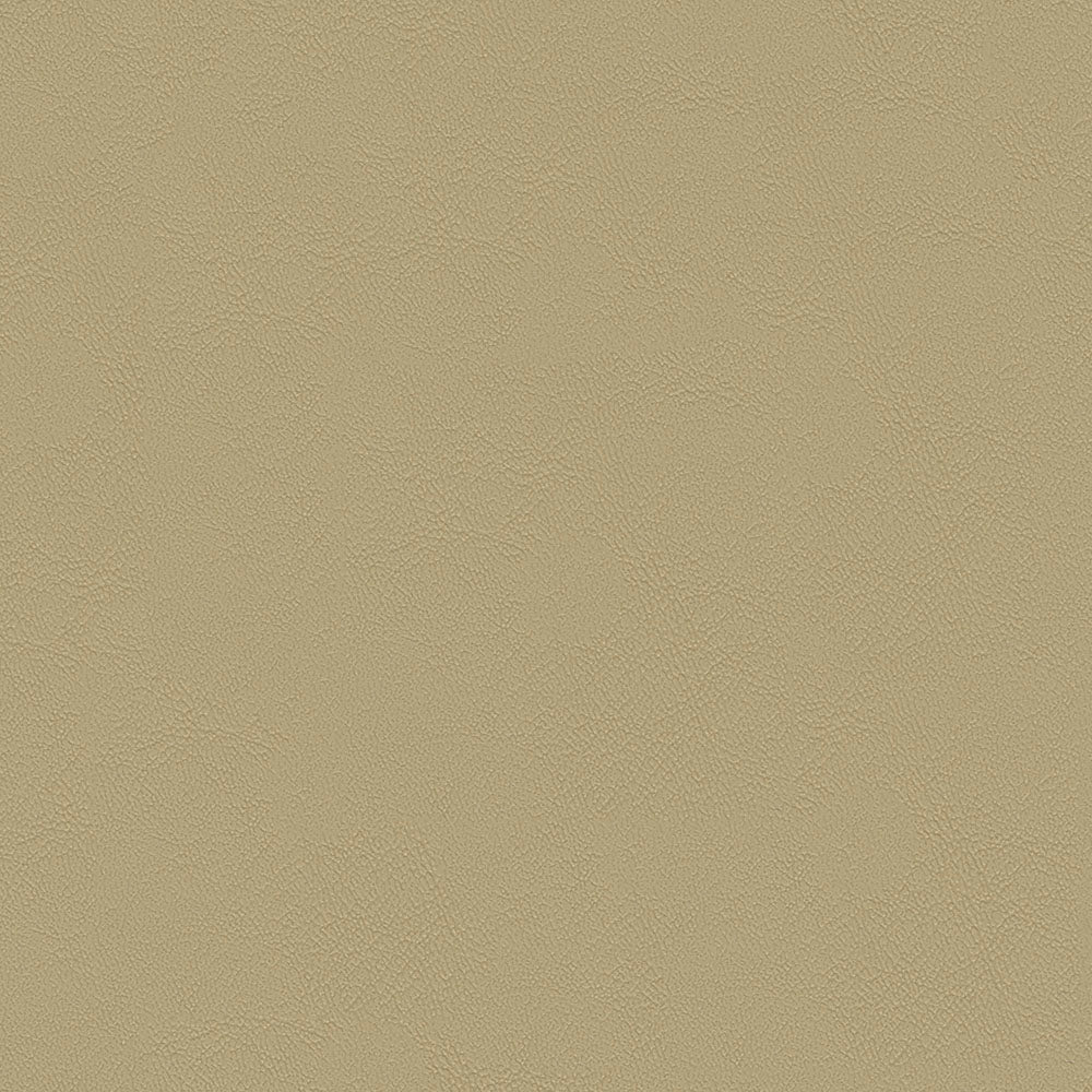 Chamea II - Image 33