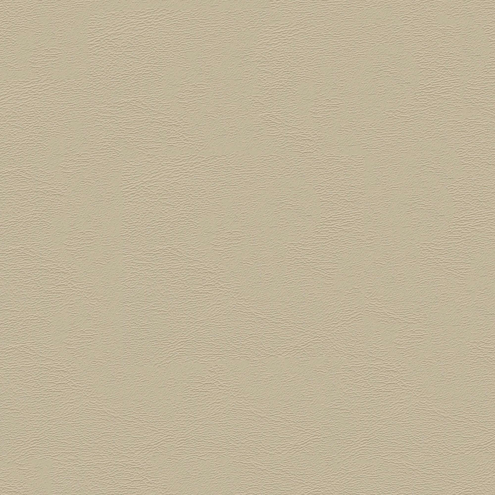 Chamea II - Image 37