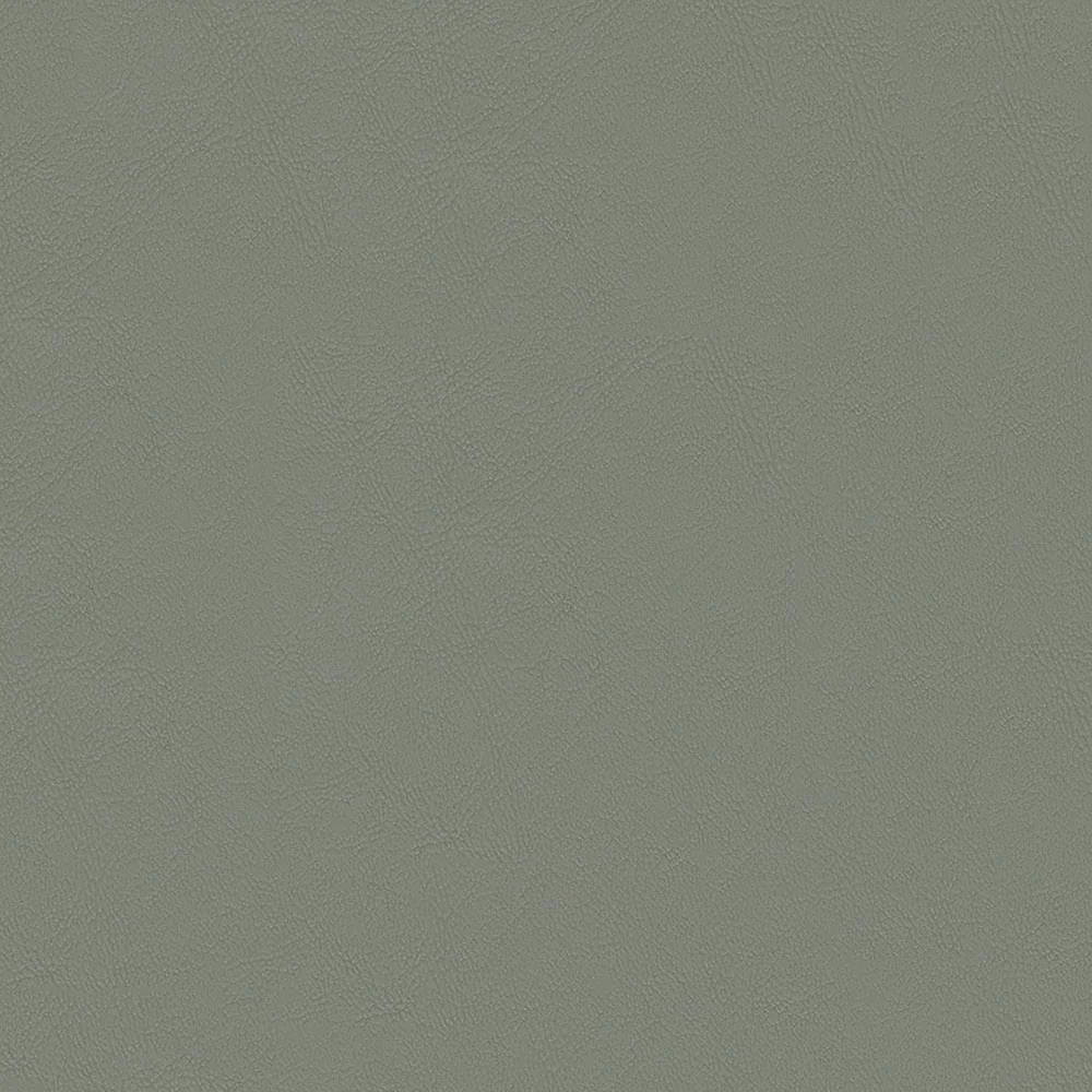 Chamea II - Image 49