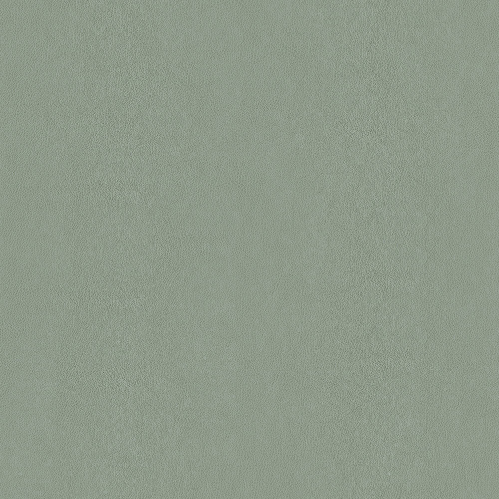 Claro - Image 11