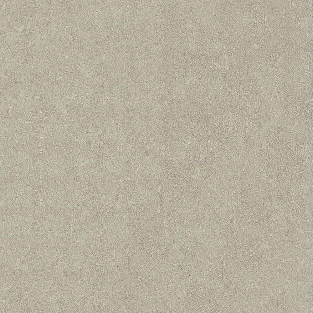 Claro - Image 17