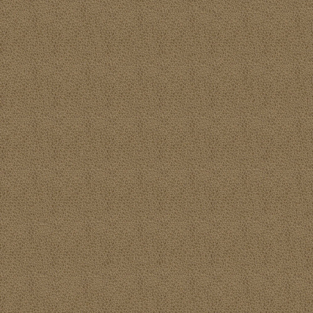 Claro - Image 19