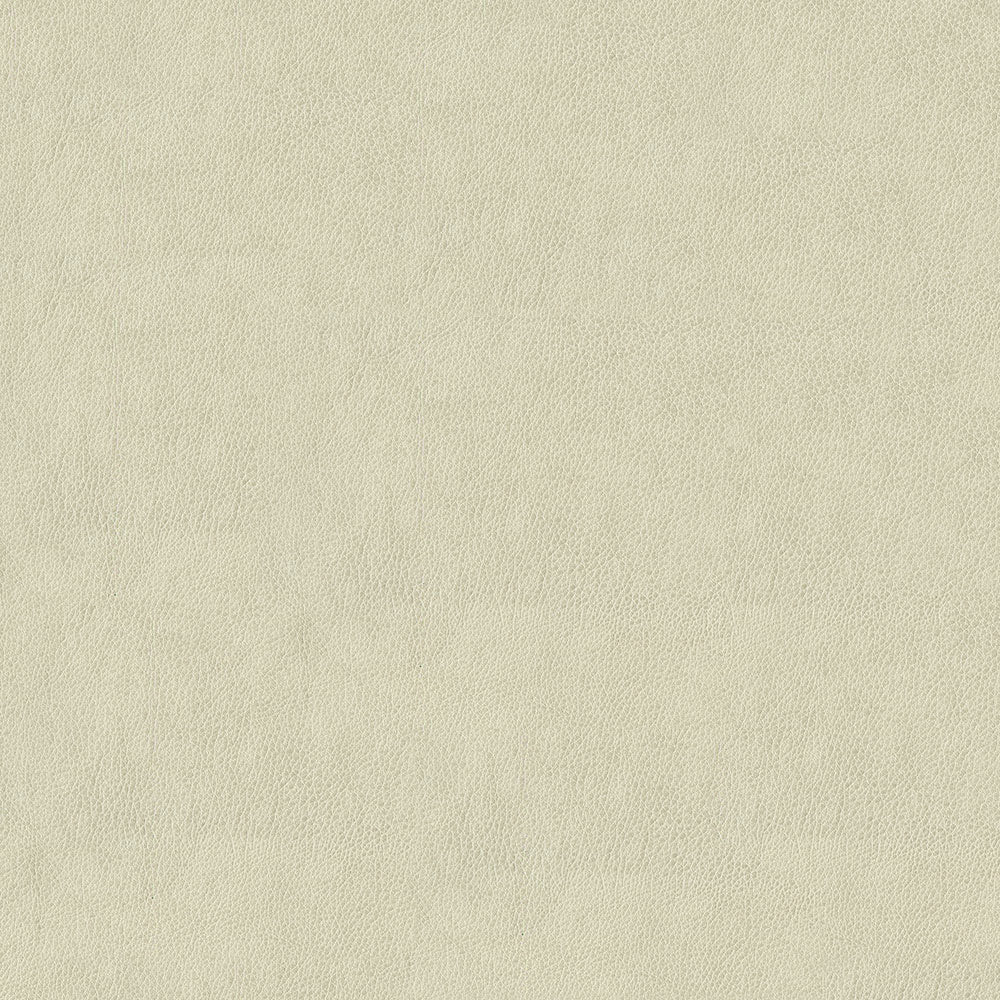 Claro - Image 21