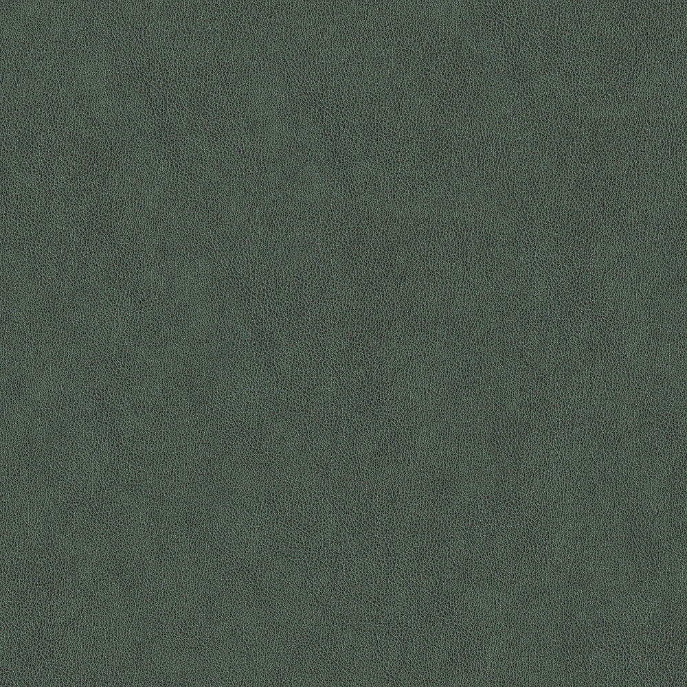 Claro - Image 23