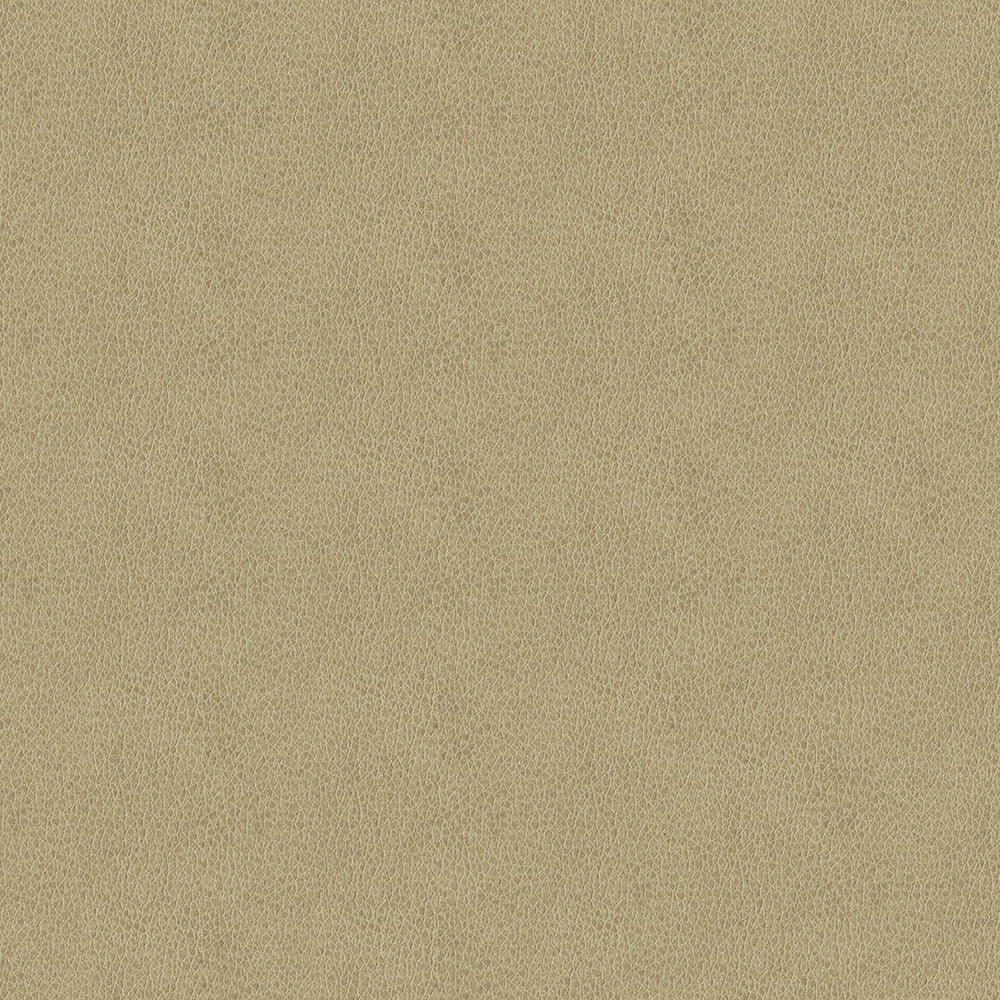 Claro - Image 25