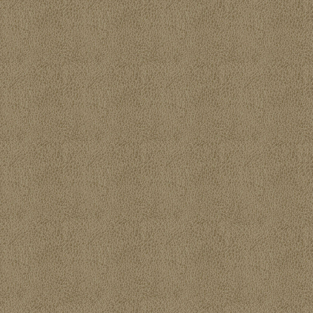 Claro - Image 27