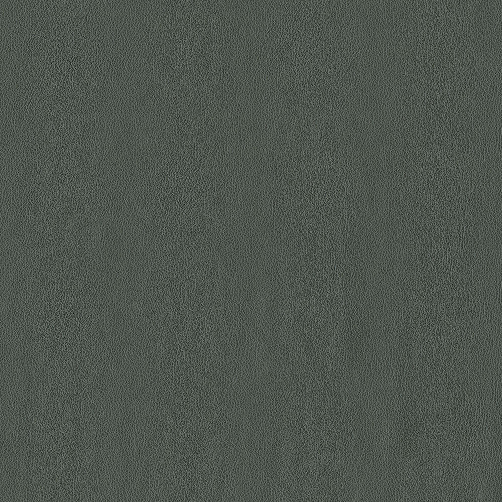 Claro - Image 29