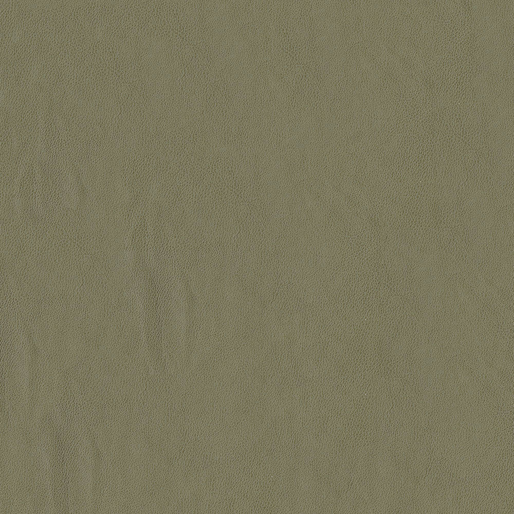 Claro - Image 3