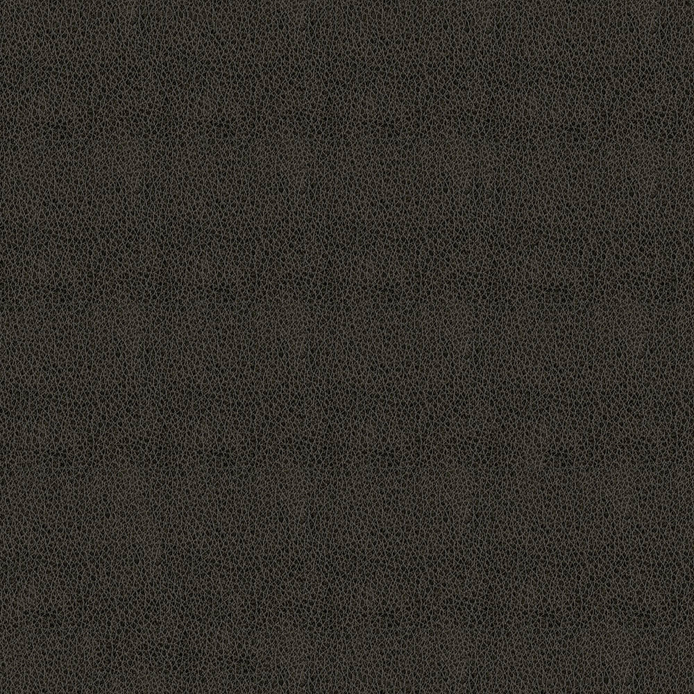 Claro - Image 31