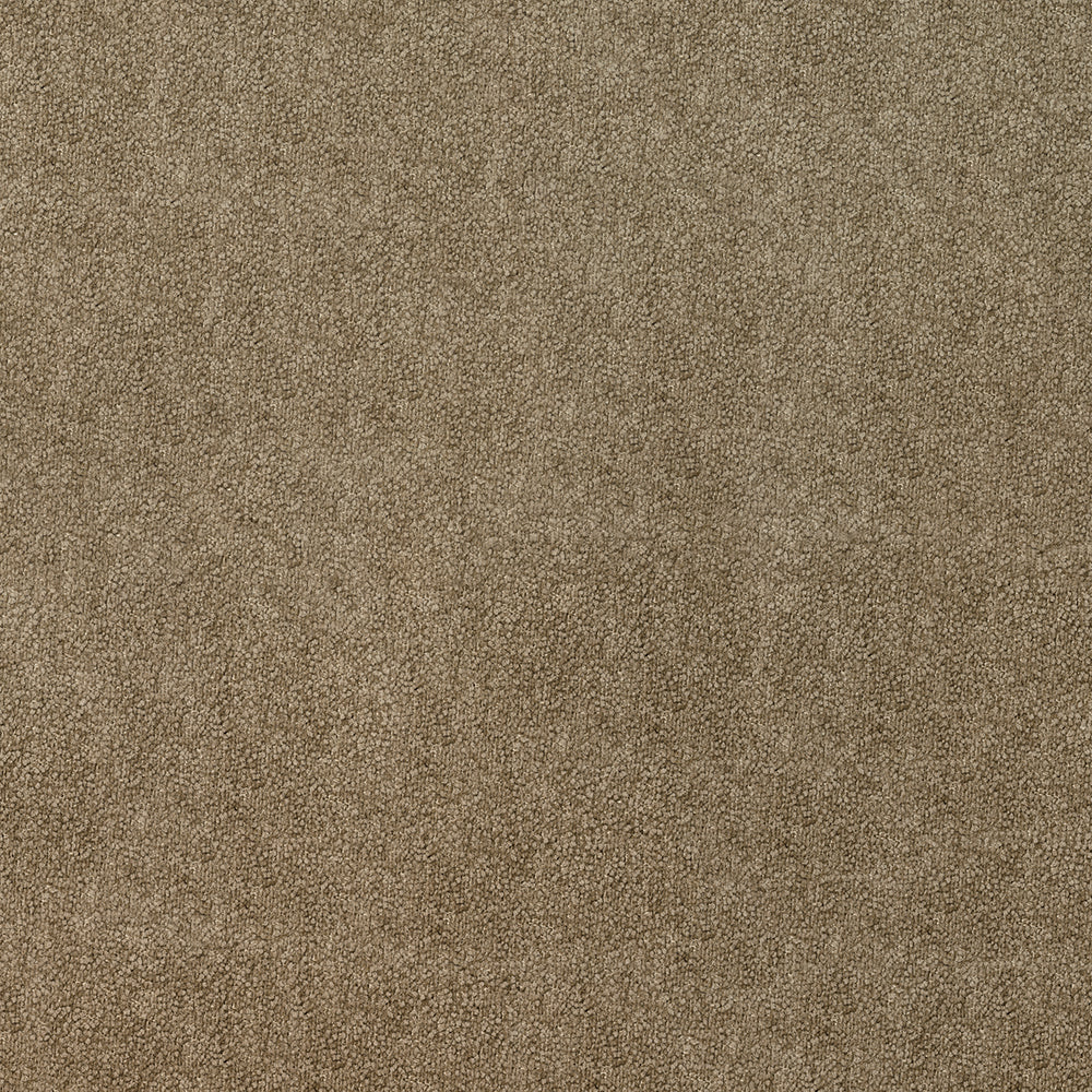 Comrade - Image 11