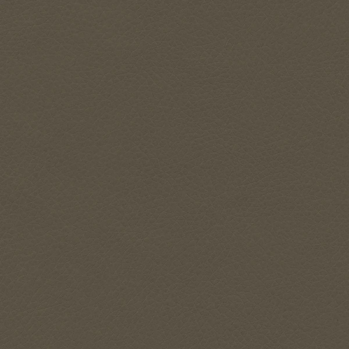 Concept Pro - Image 21