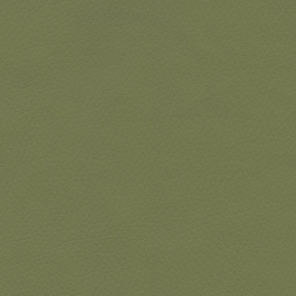 Concept Pro - Image 23
