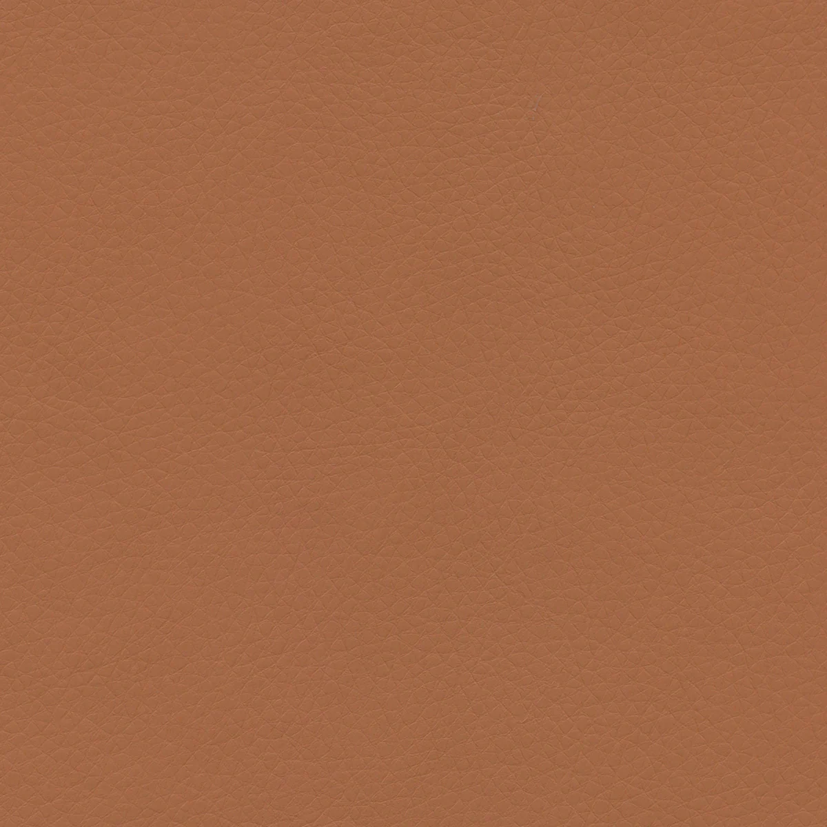 Concept Pro - Image 45